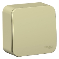 Выключатель 1-кл. ОП Blanca 10А IP20 (сх. 1) 250В с изолир. пластиной бежевый SchE BLNVA101017